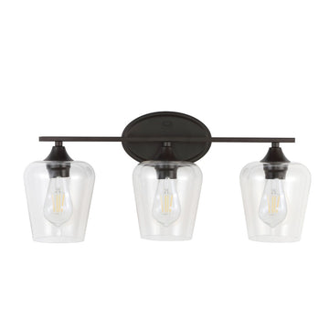 Jayne Iron/Glass Cottage Rustic LED Vanity Light
